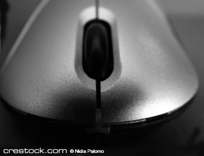 Close up of a gray  computer mouse